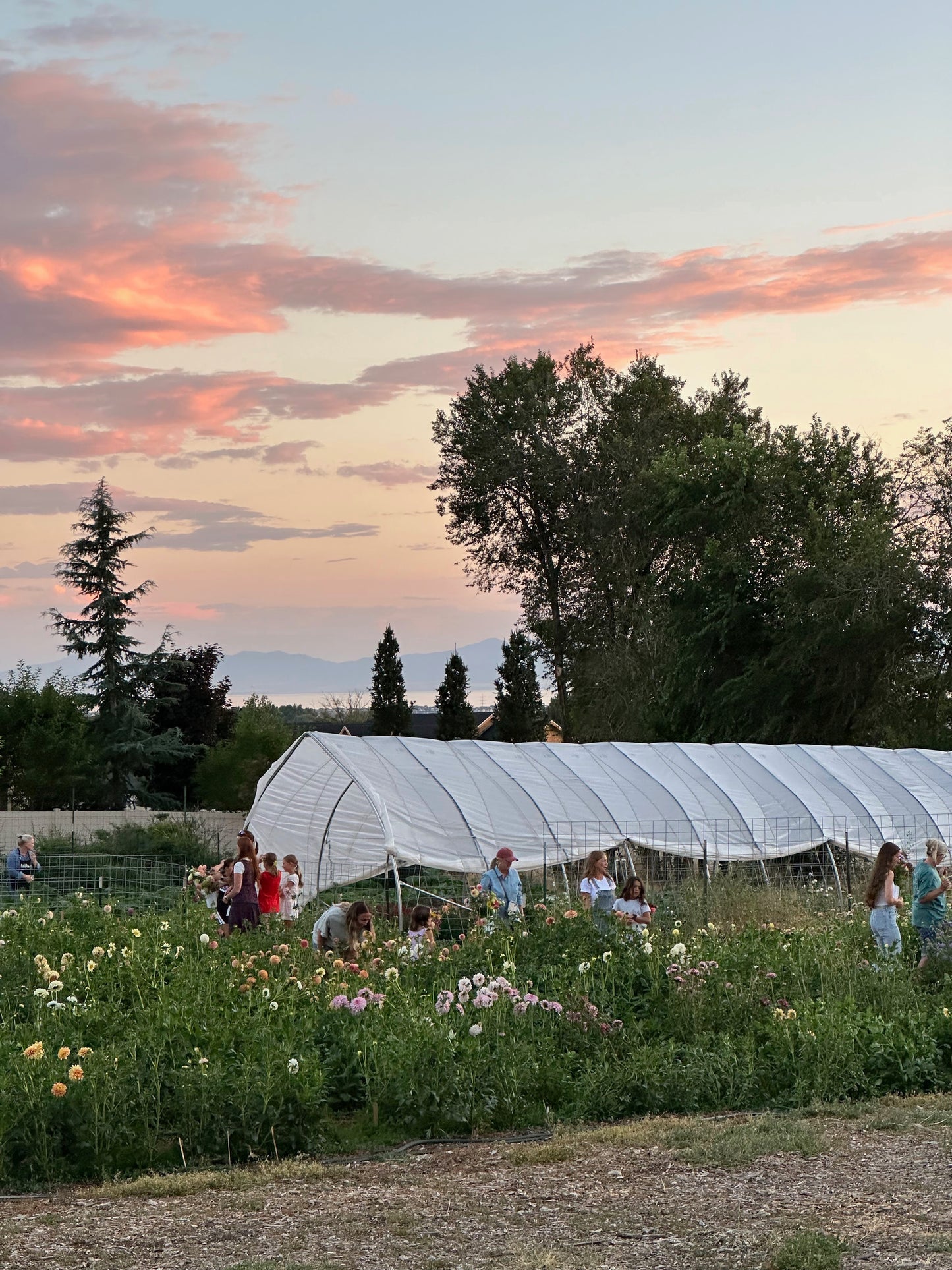 La Finca Flower Farm Gift Card