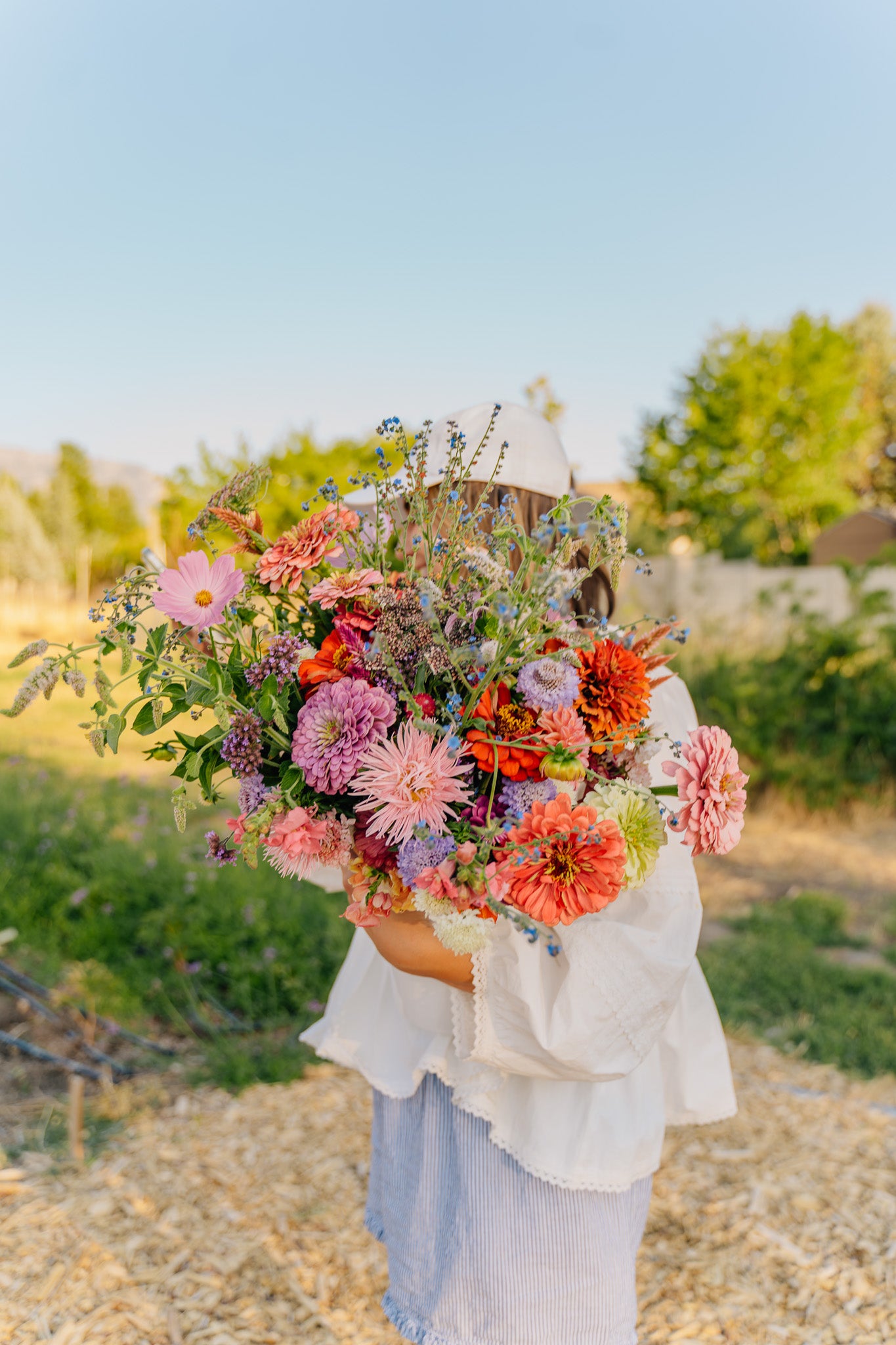 Flower U-Pick | Monday, Oct 6 - 5:30-7:30 PM