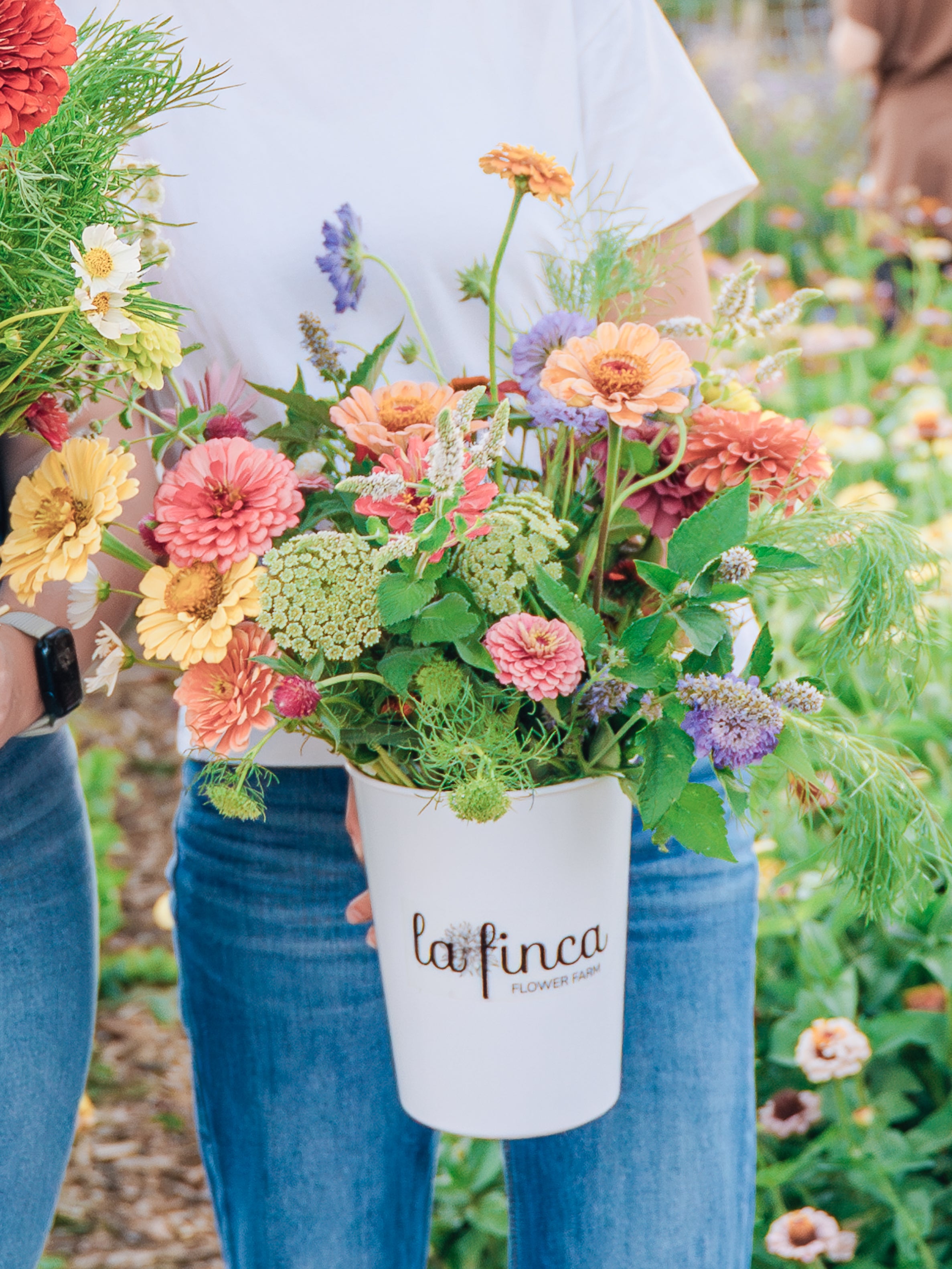 U Pick La Finca Flower Farm u-pick-la-finca-flower-farm